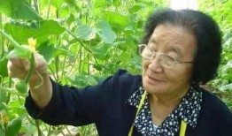 娱乐吃瓜酱择偶不看脸,心灵契合才是真——娱乐吃瓜酱择偶新标准